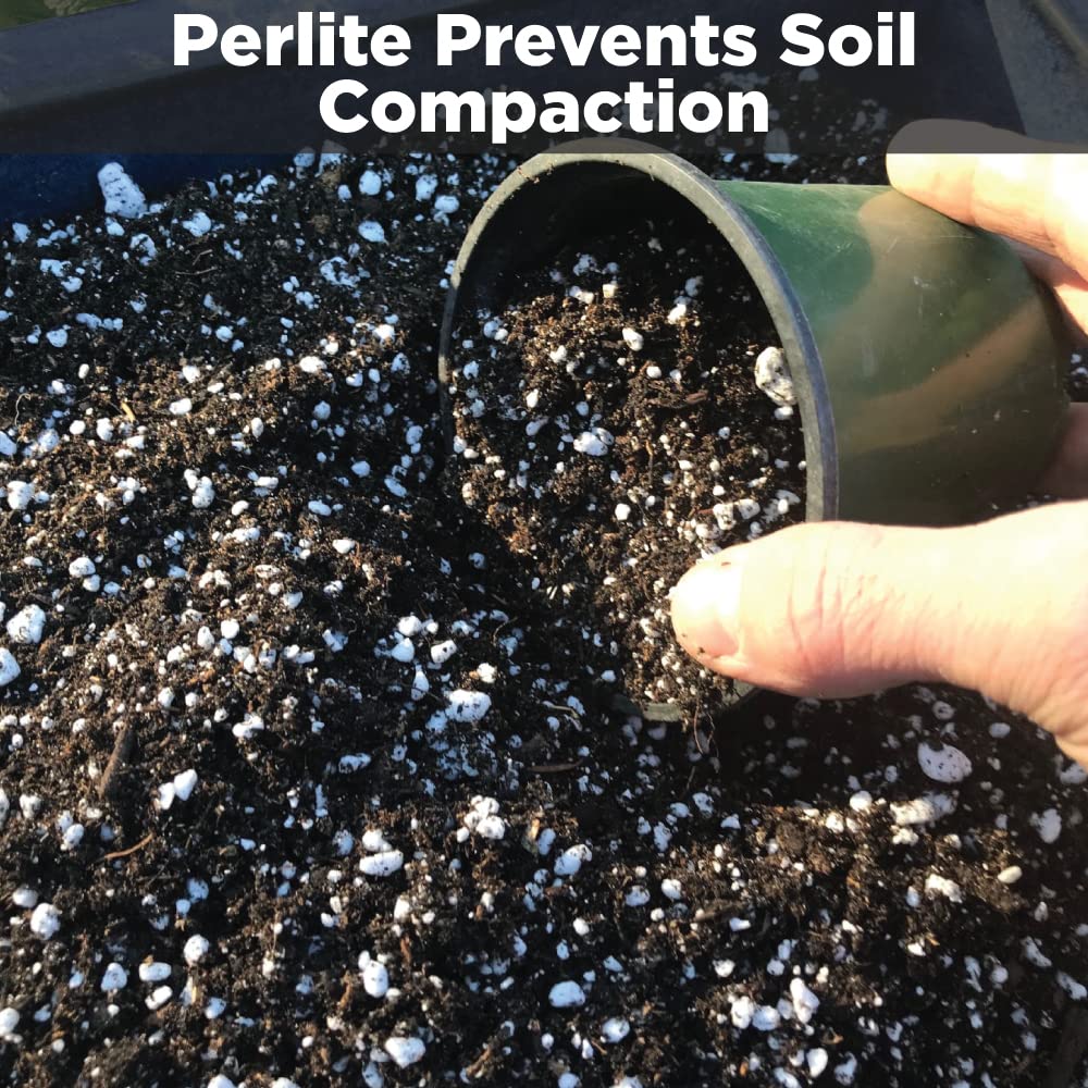 Perlite