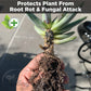 Washed Cinder for Plants