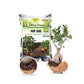 Pop Soil, LECA Balls