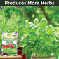 Herb Plant Food