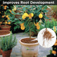 Vegetable Fertilizer