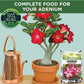 Adenium Booster