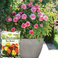 Rose Booster