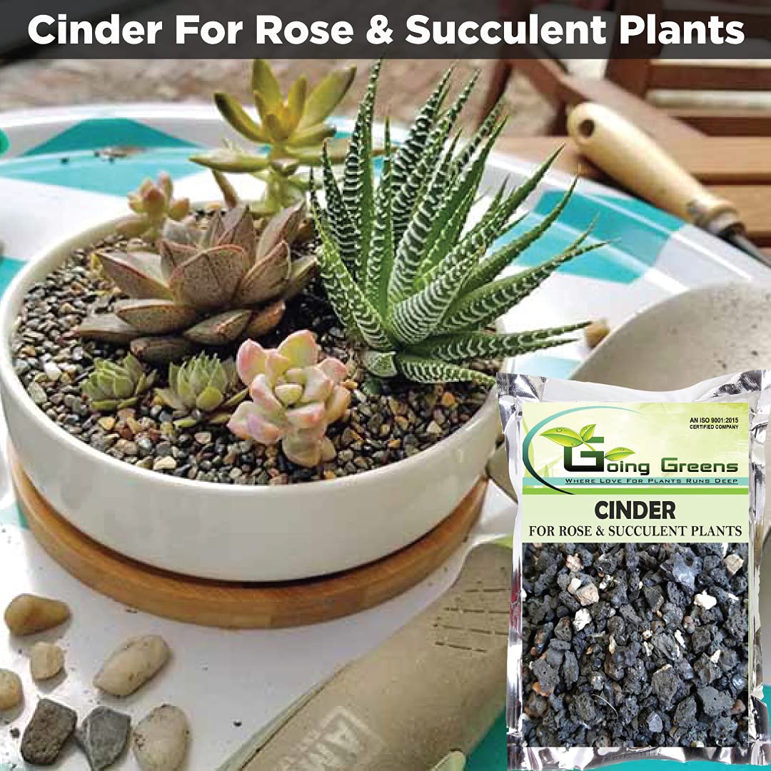 cinder for succulents Washed Cinder for Plants – Going Greens