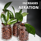 Pop Soil,  LECA Balls