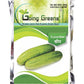 Hybrid Cucumber Seeds