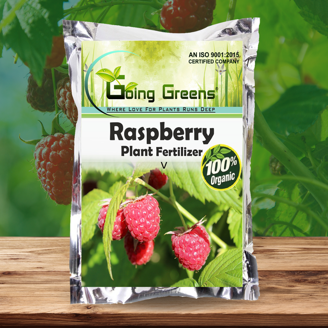 Raspberry Fertilzer – Going Greens