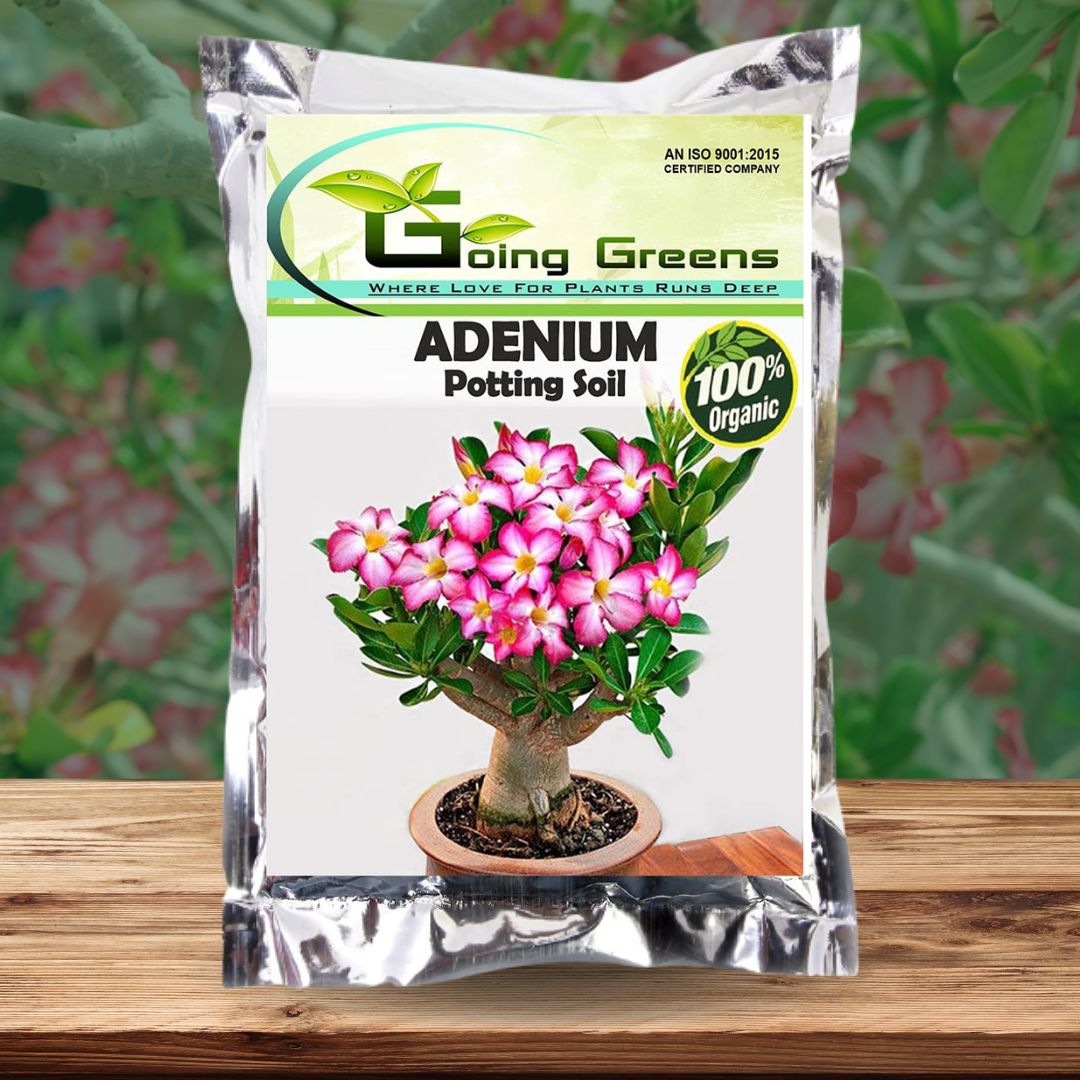 Adenium Potting Soil Mix