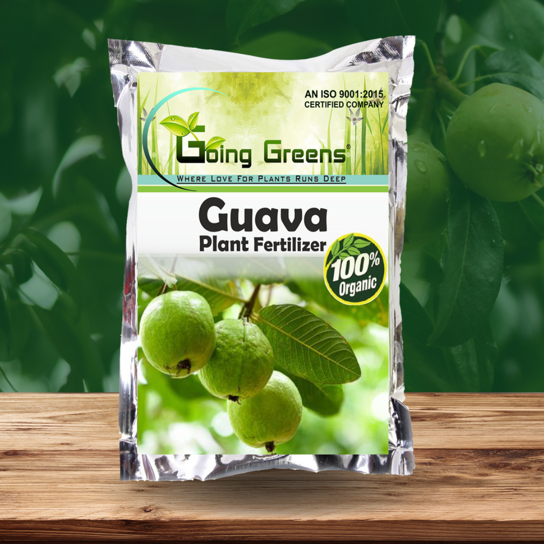 Guava  Fertlizer