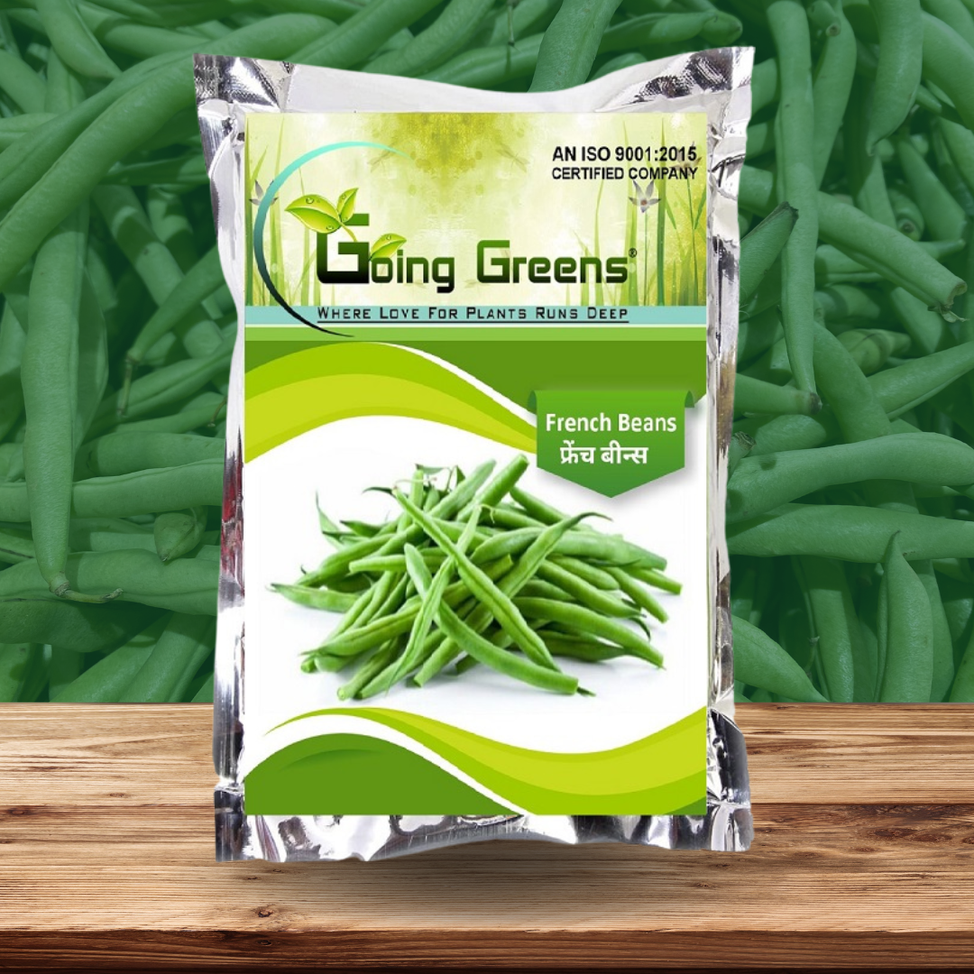 French Beans Seeds