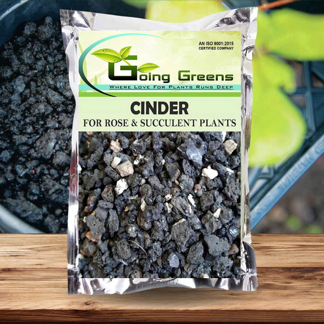 Washed Cinder for Plants