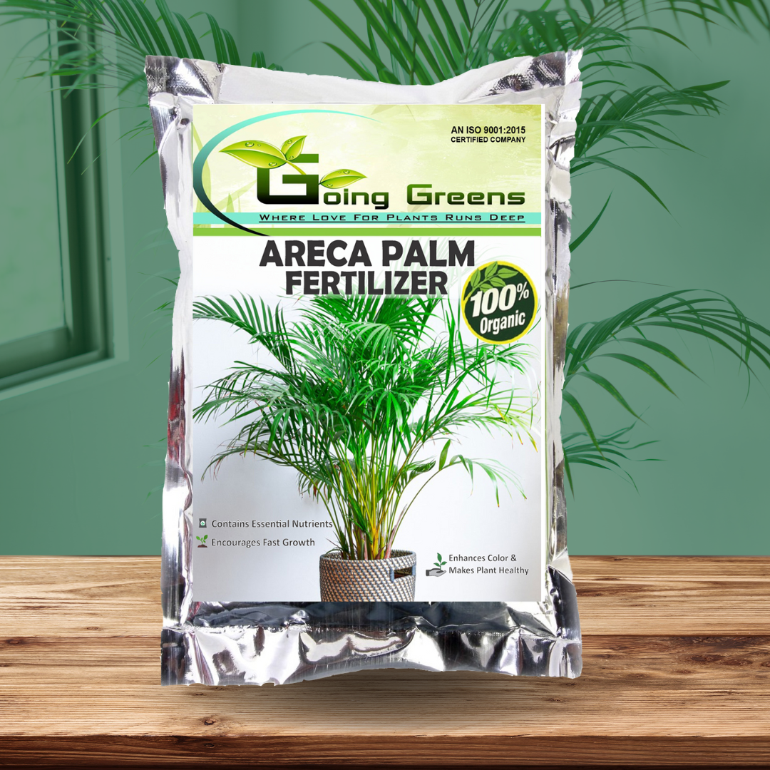 Areca Palm Fertilizer