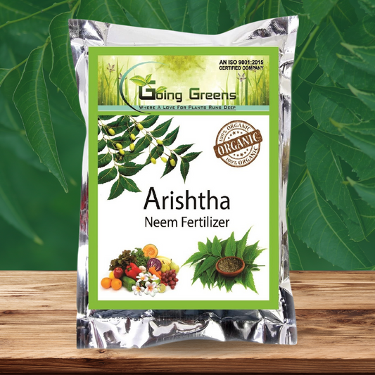Arishtha  Neem Cake Powder