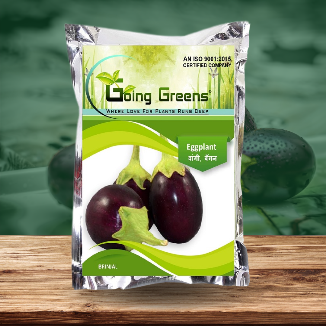Brinjal/Eggplant seeds (Round)