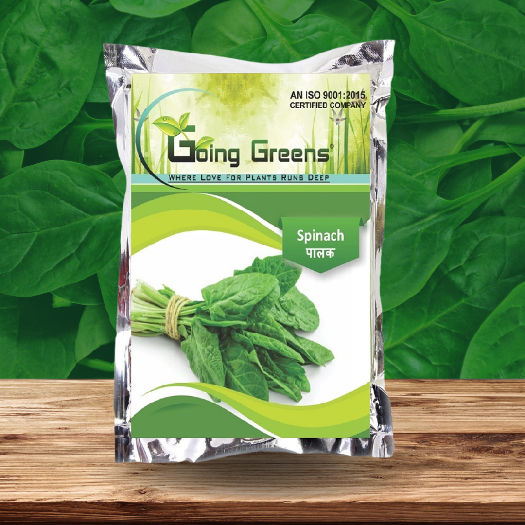 Open Pollinated Spinach Seeds (Palak)