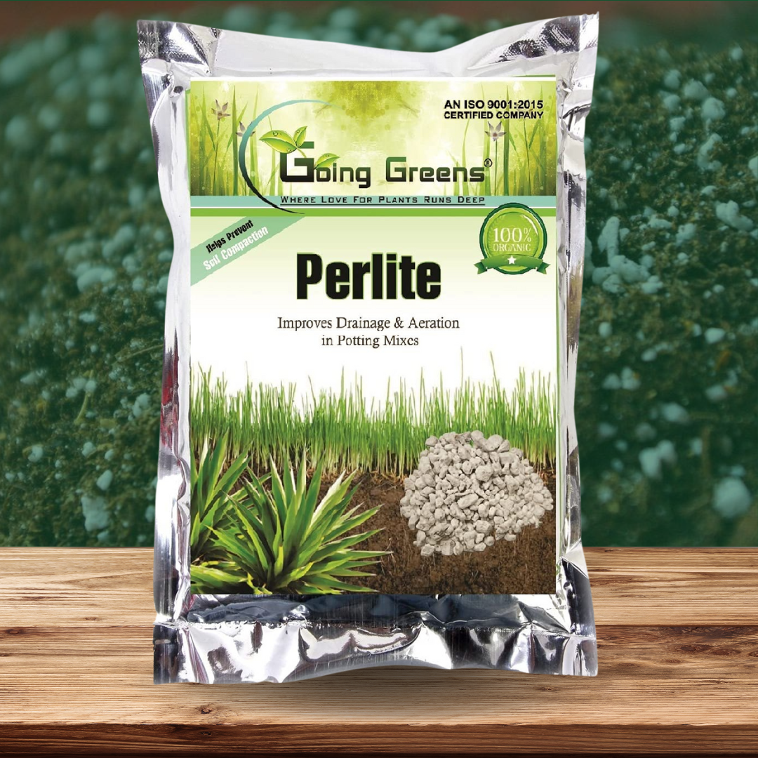 Pearlight Perlite for Plants – Going Greens