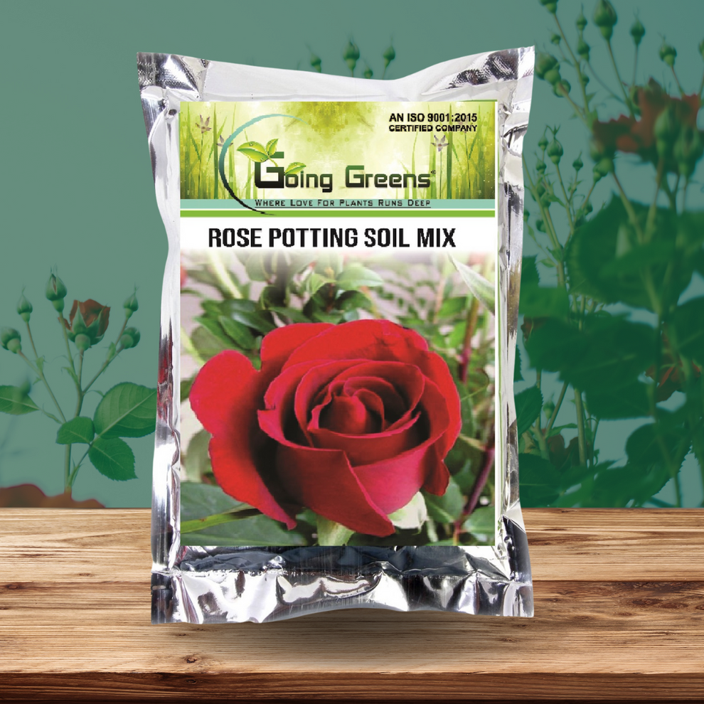 Rose Potting Soil Mix Going Greens