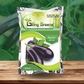 Hybrid Brinjal / Eggplant seeds (Long)