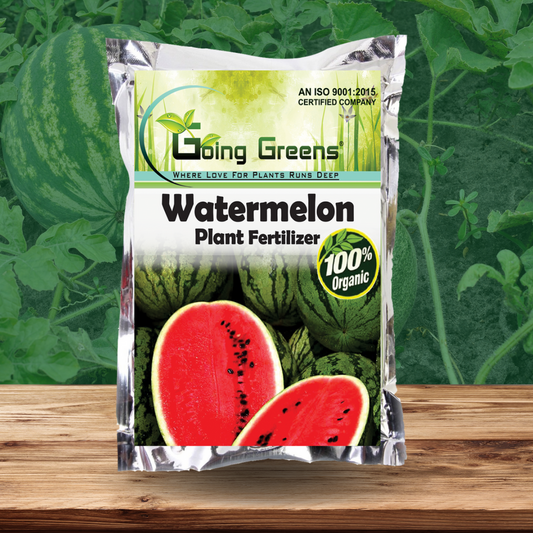 Watermelon Fertlizer