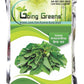 Hybrid Amaranthus Green Seeds
