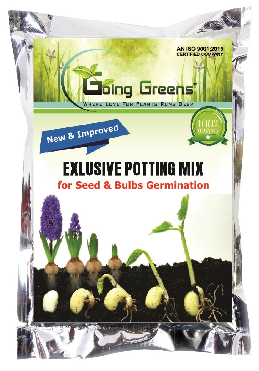 Potting Soil Mix for Seeds & Bulbs Germination